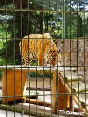 Eifel Zoo