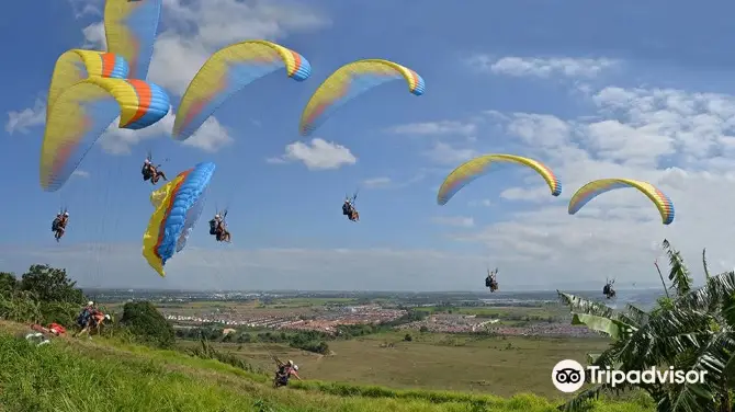 High 5 Paragliding