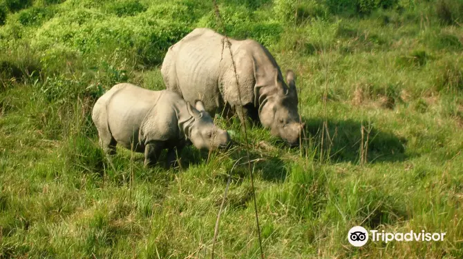 3_Chitwan Jungle Safari