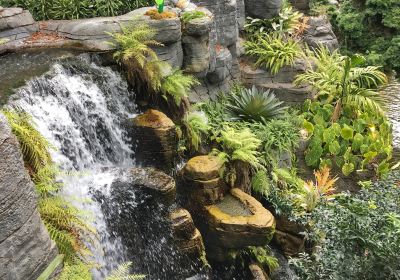 Gaylord Opryland Resort Gardens