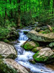 Roaring Fork Motor Nature Trail