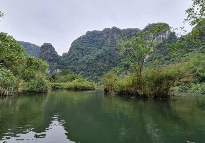 Ninh Nhat