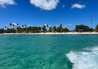 Bayahibe