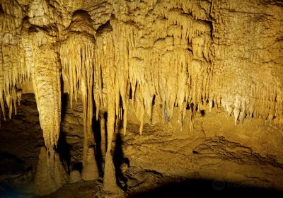 Mammoth Cave