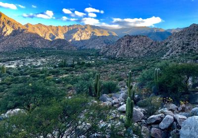 Cafayate Department