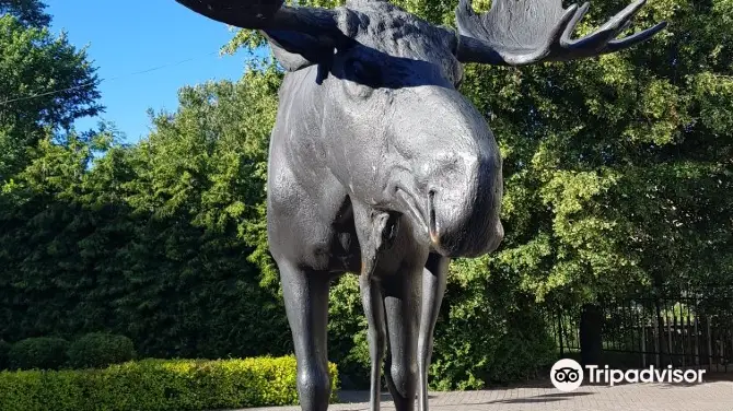 1_Moose Sculpture