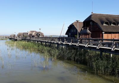 Lake Neusiedl