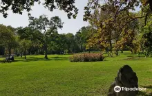 Florya Atatürk Forest