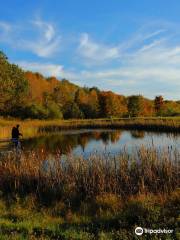 Tanglewood Nature Center