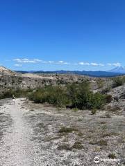 WIndy Ridge Viewpoint