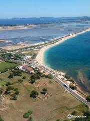 Archaeological Site of Olbia - Town of Hyères