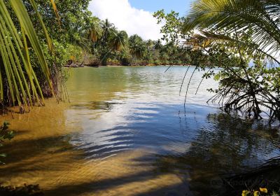 Provincia de Bocas del Toro