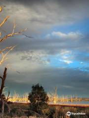 Winton Wetlands