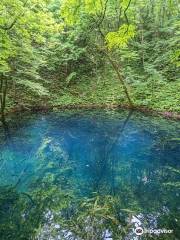 Blue Pond