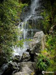 Whangarei Quarry Gardens