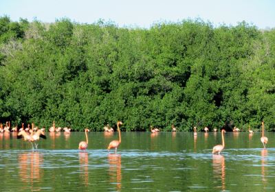 Guanaroca Lagoon