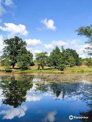 Wildpark Lueneburger Heide