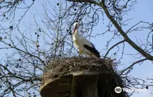 Tierpark Lange Erlen