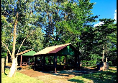 Recreational Forest Reserve of Valverde Eng. Emiliano Costa