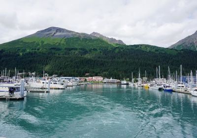 Seward Boat Harbor