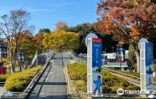 Sayama Indoor Skiing Ground