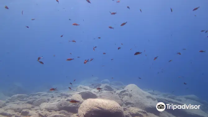 5_Sifnos diving center