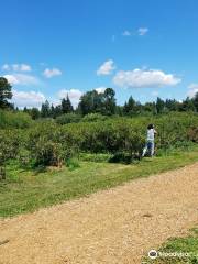 Larsen Lake Blueberry Farm