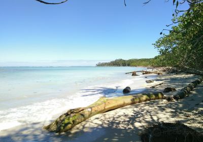 parc national Cahuita