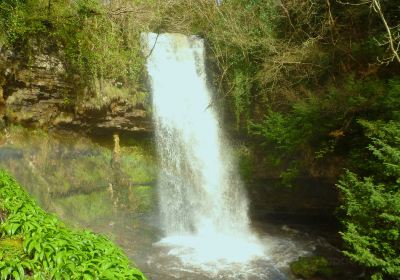 Glencar Waterfall