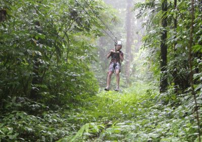 St. Lucia Rain Forest