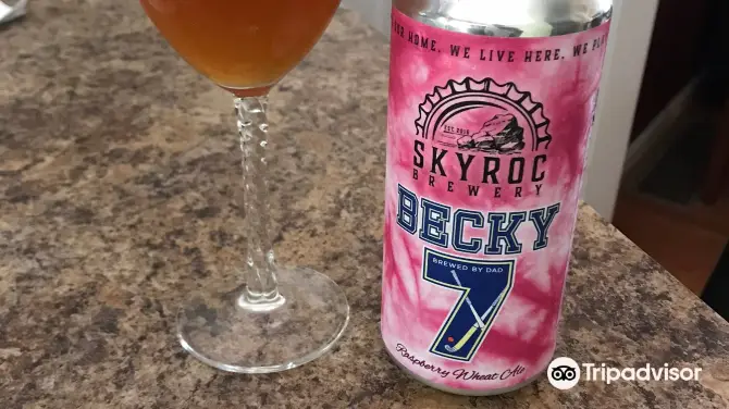 3_Skyroc Brewery