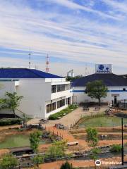 碧南海浜水族館 碧南市青少年海の科學館