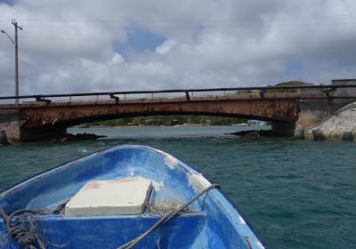 Colonia Bridge