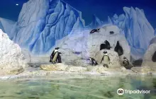 ヴィンパール水族館 タイムズ シティ