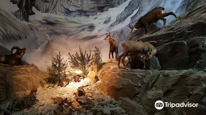 Musee des Mineraux Et de la Faune des Alpes