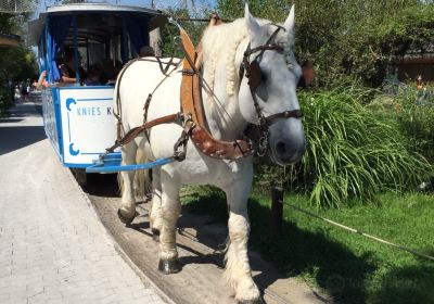 Knies Kinderzoo Rapperswil