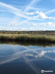 Zelda's Kennebecasis River Adventures