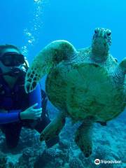 Scuba Diving in Honolulu