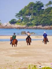 Phuket International Horse Club