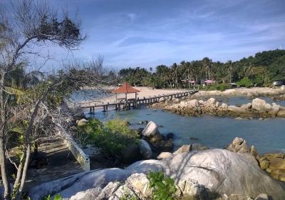 Parai Tenggiri Beach