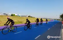 Happy & Healthy Bike Lane