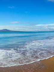 Takapuna Beach