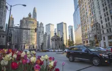 Magnificent Mile