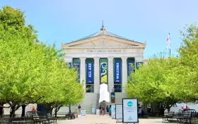 Shedd Aquarium