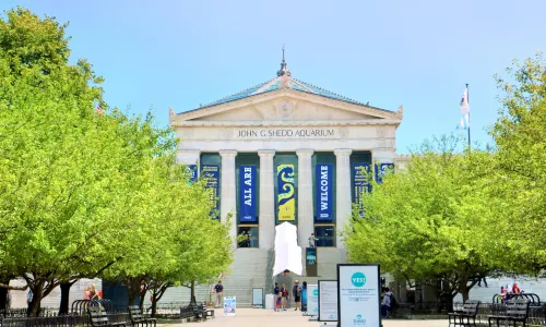 Shedd Aquarium