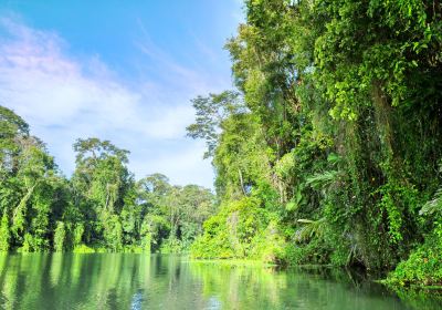 Parc national de Tortuguero