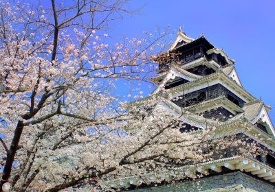 Castillo de Kumamoto