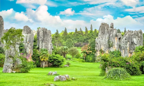 Stone Forest Scenic Area