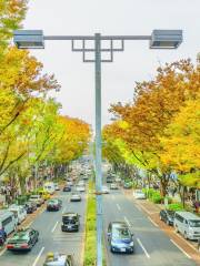 oak omotesando