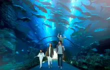 Dubai Aquarium & Underwater Zoo